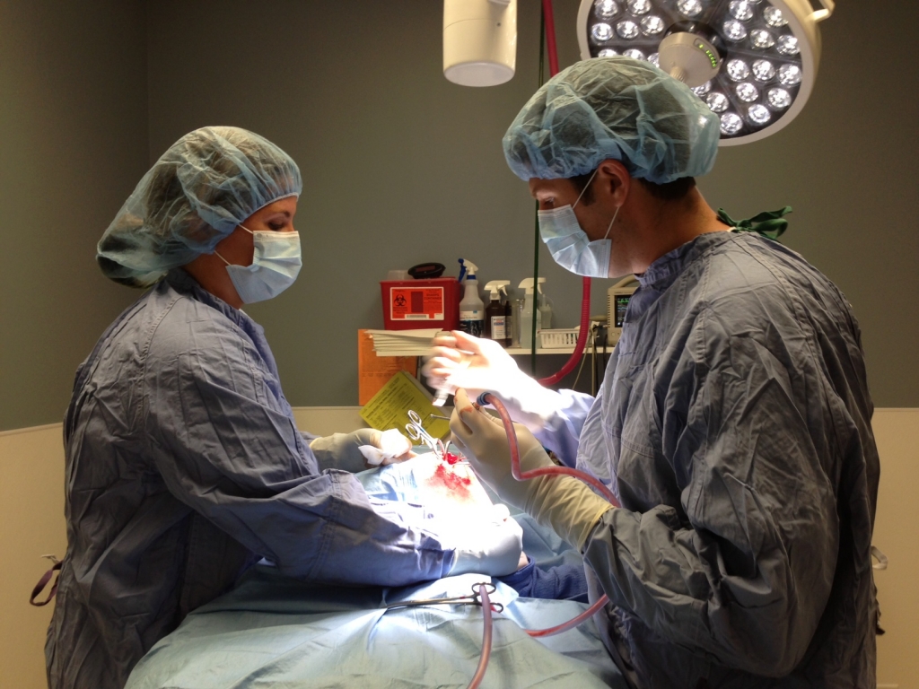 Doctors performing Orthopedic Surgery