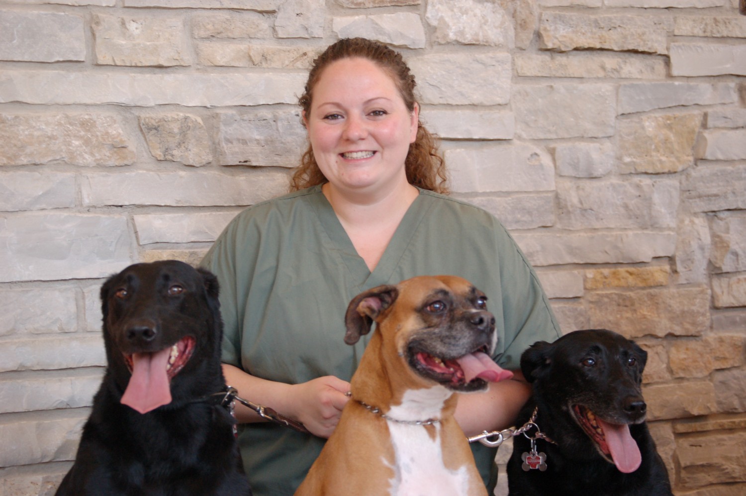 Staff at Cary Grove Animal Hospital Cary, IL Veterinarian