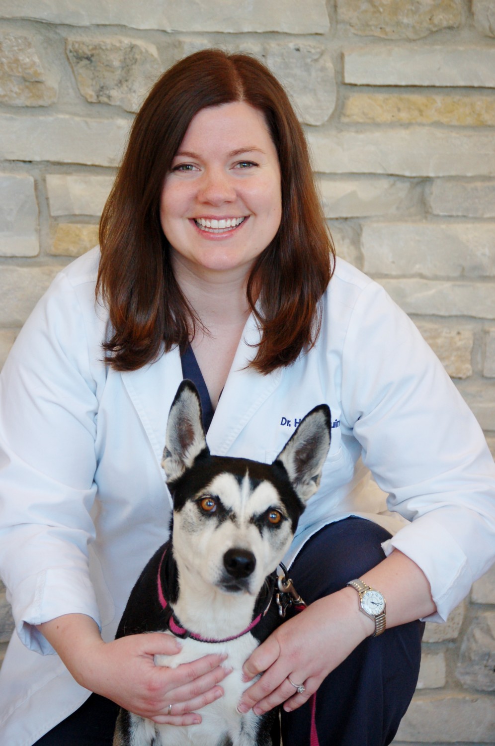Dr. Heidi Quinn Cary Grove Animal Hospital Veterinarian Cary, IL