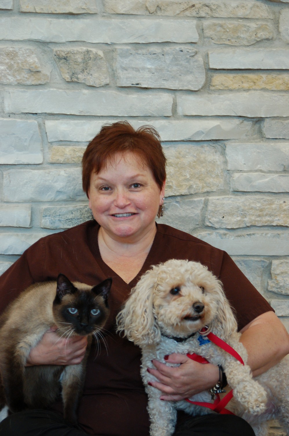 Staff at Cary Grove Animal Hospital Cary, IL Veterinarian