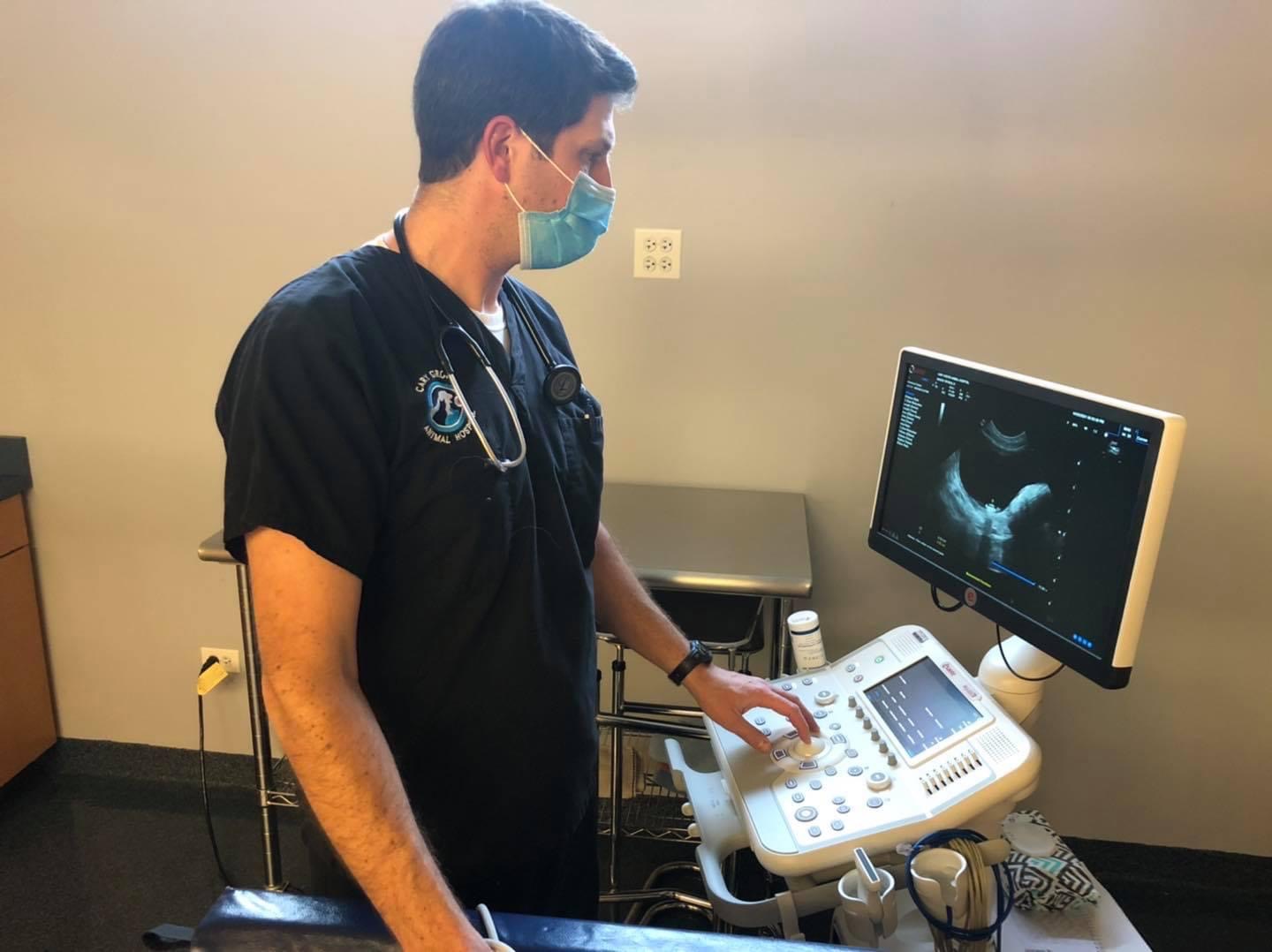 Cary Grove Animal Hospital Ultrasound and Radiology (X-Ray)