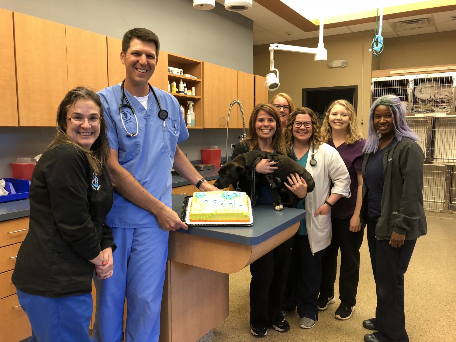Cary Grove Animal Hospital - Veterinarian in Cary, IL Hospital Tour Cary Grove Animal Hospital - Veterinarian in Cary, IL Hospital Tour
