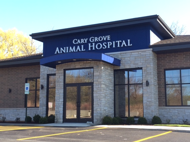 Cary Grove Animal Hospital Cary IL