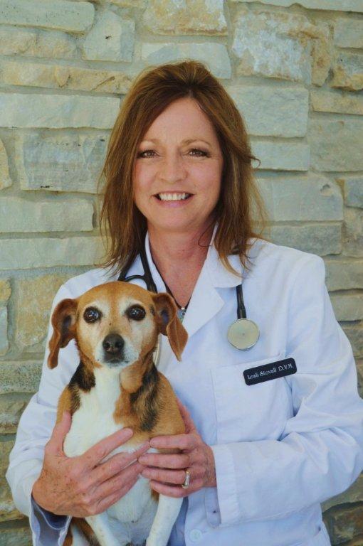 Dr. Stovall Veterinarian Cary Grove Animal Hospital Cary, IL Dr. Stovall Veterinarian Cary Grove Animal Hospital Cary, IL