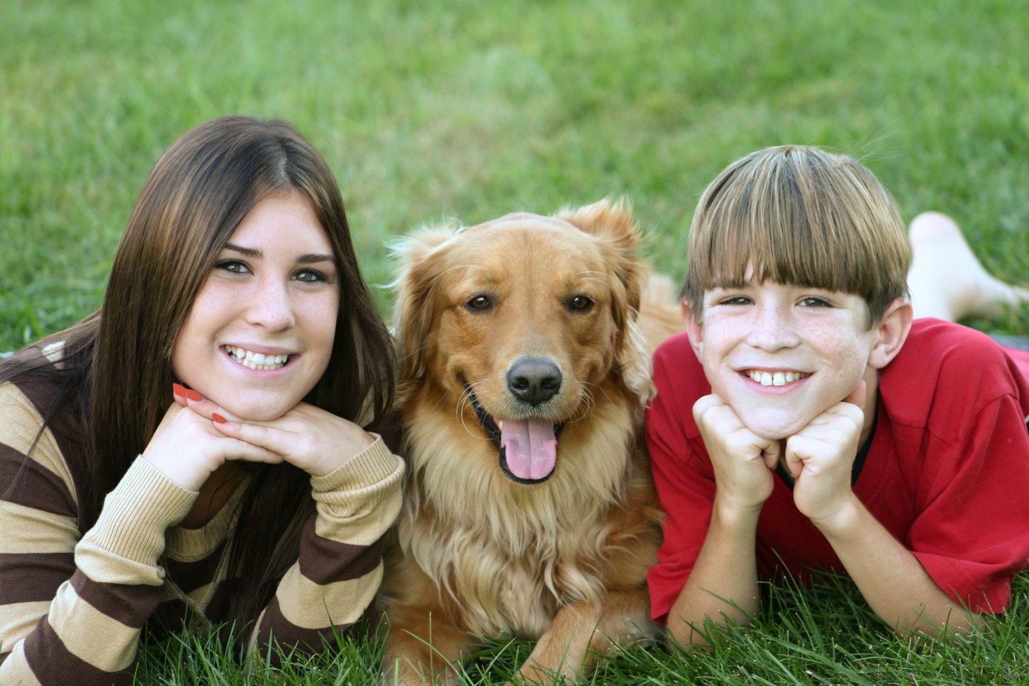 Cary Grove Animal Hospital Veterinarian in Cary Fox River Grove IL