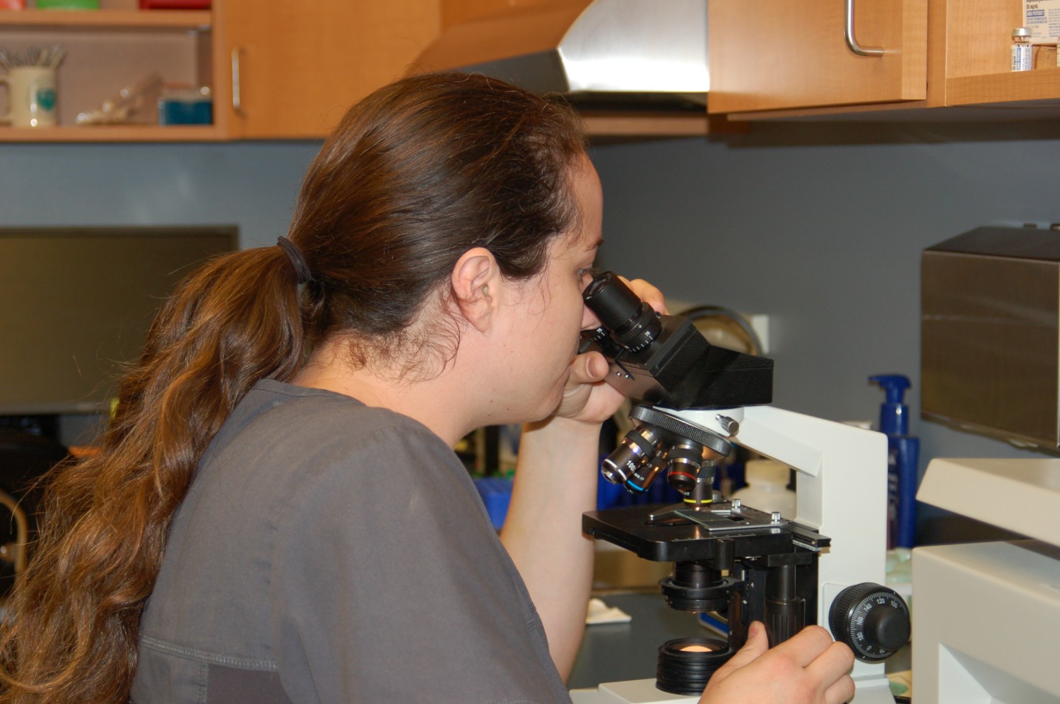 On-Site Laboratory On-Site Laboratory