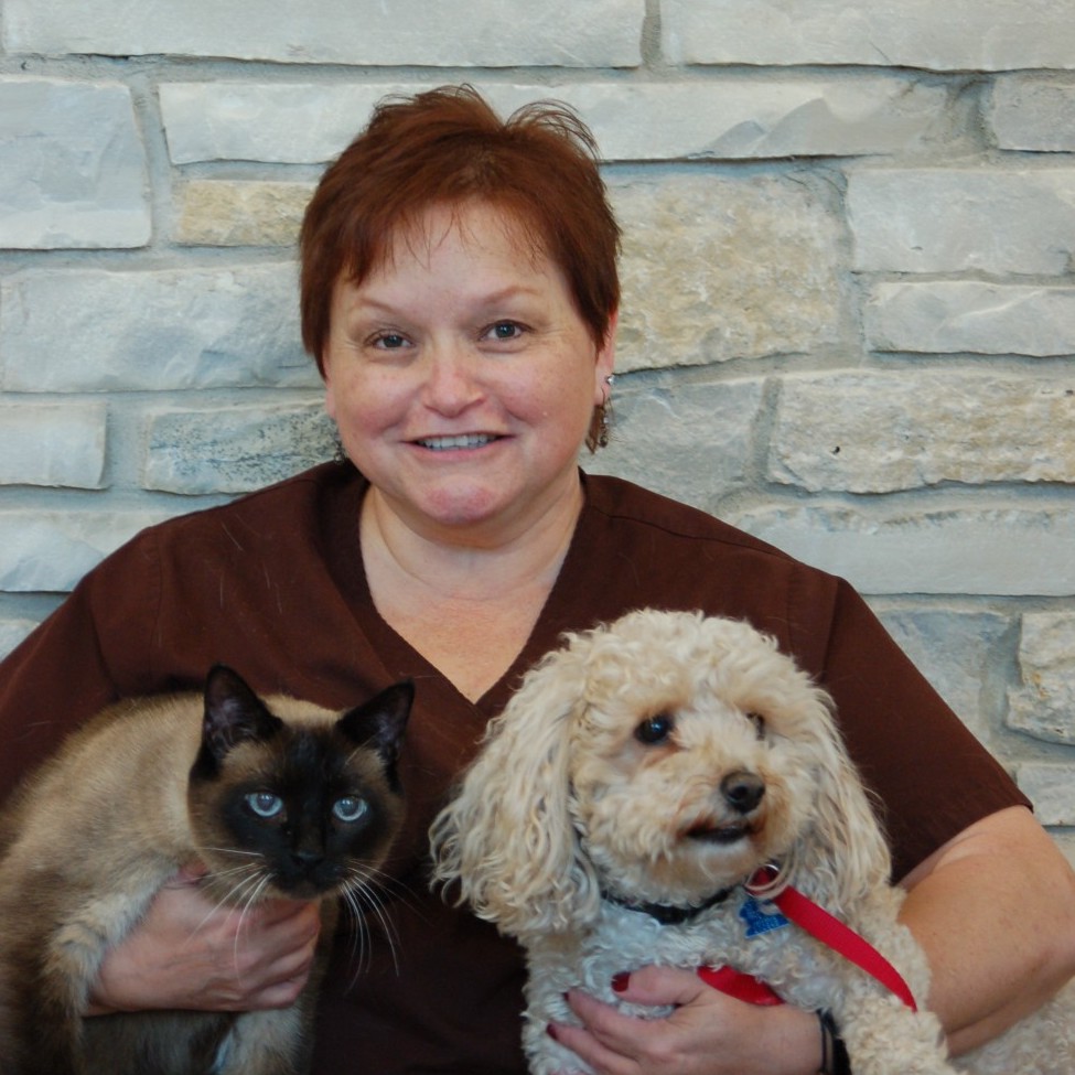 Staff at Cary Grove Animal Hospital Cary, IL Veterinarian