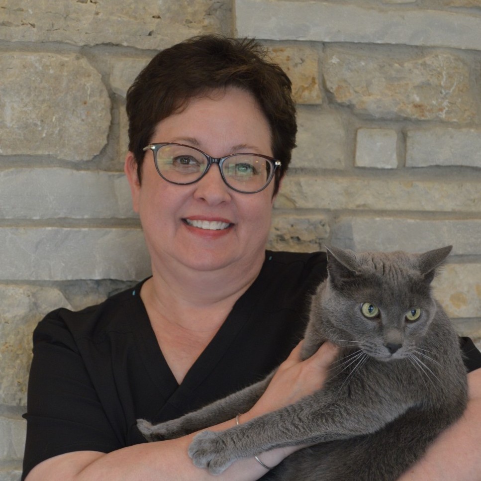 Staff at Cary Grove Animal Hospital Cary, IL Veterinarian