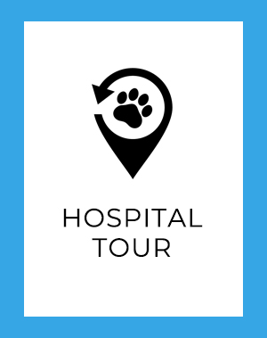 Hospital Tour Button