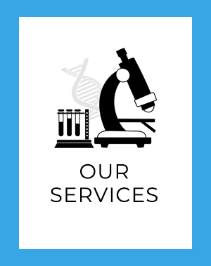 Our Services Button