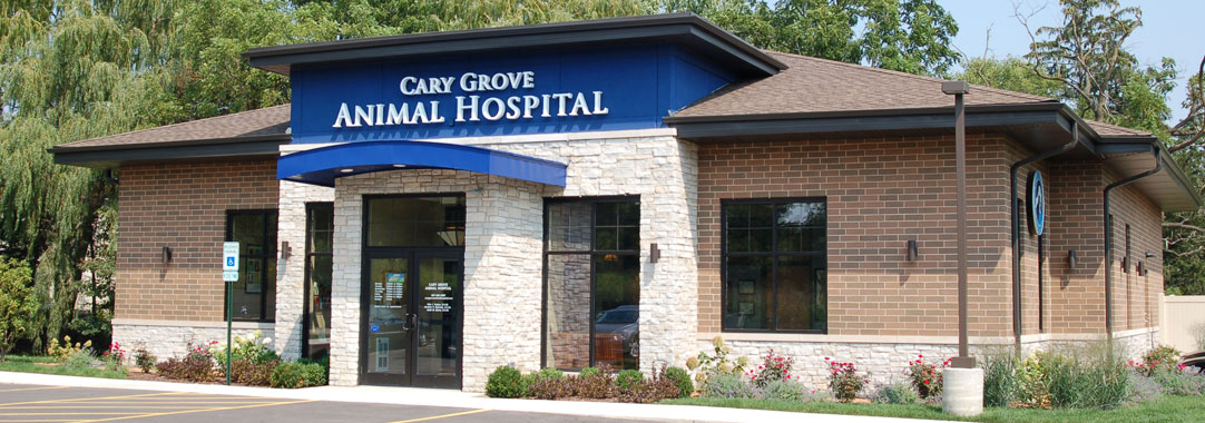 Cary Grove Animal Hospital Building