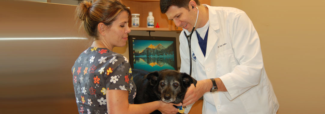 Dr. Trybus and Staff member examining a patient