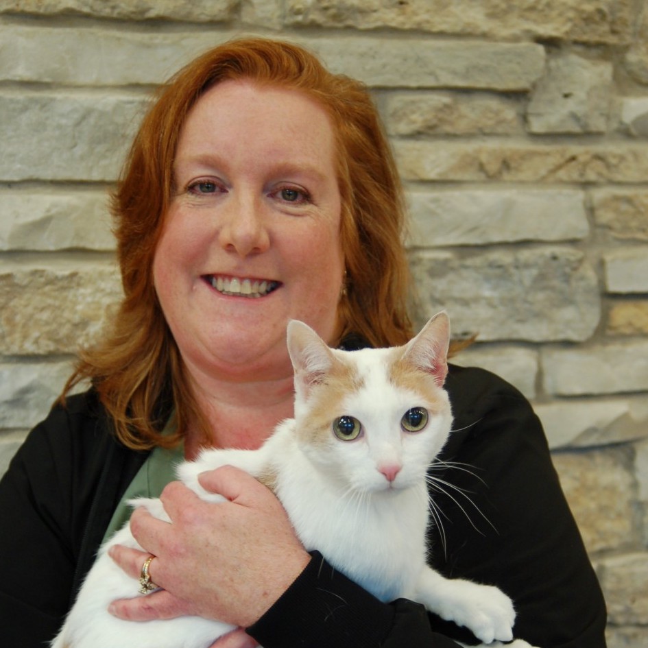 Staff at Cary Grove Animal Hospital Cary, IL Veterinarian