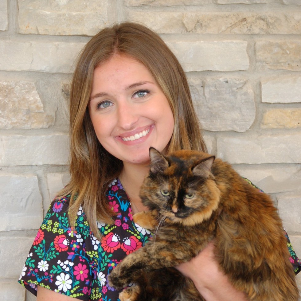 Staff at Cary Grove Animal Hospital Cary, IL Veterinarian Staff at Cary Grove Animal Hospital Cary, IL Veterinarian