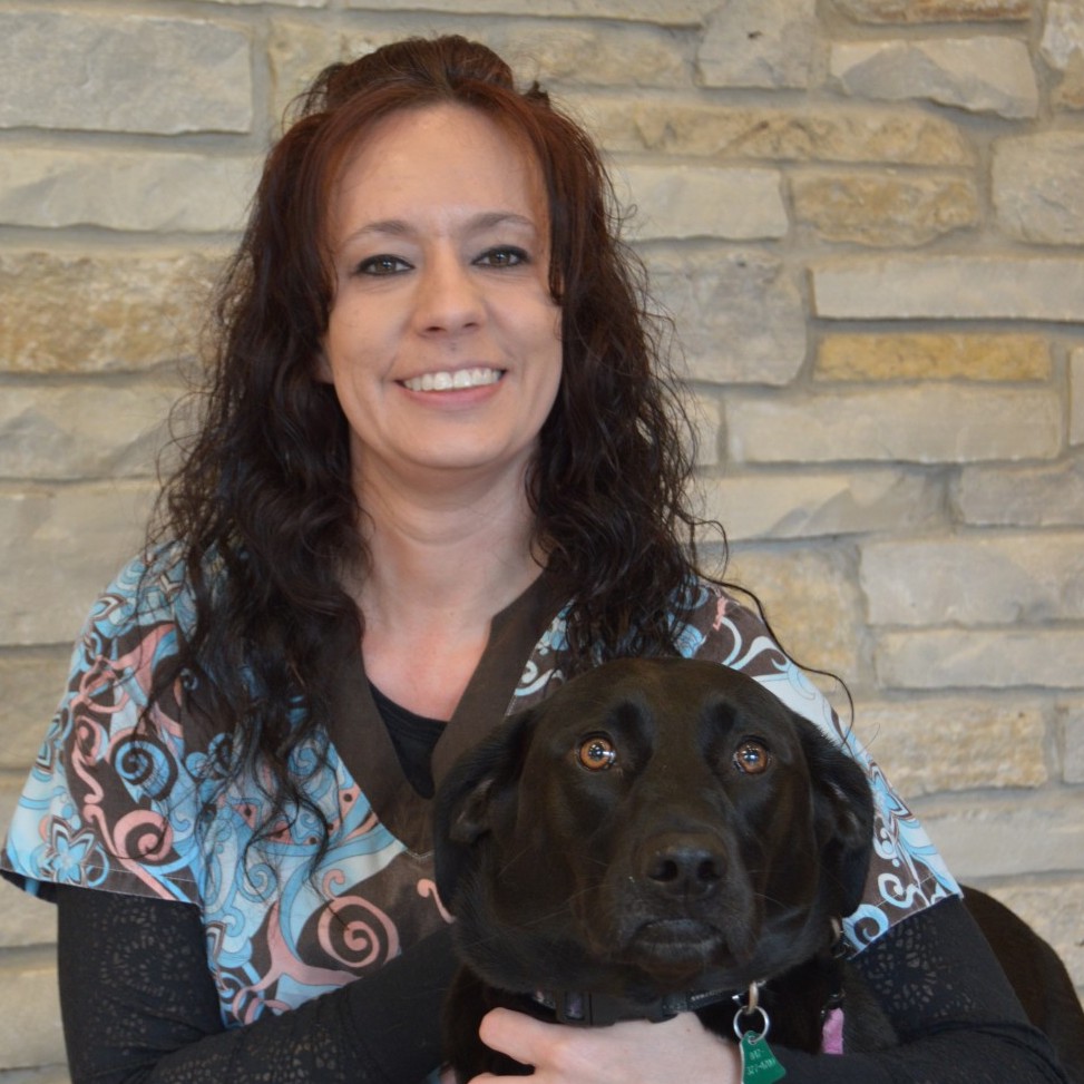 Staff at Cary Grove Animal Hospital Cary, IL Veterinarian