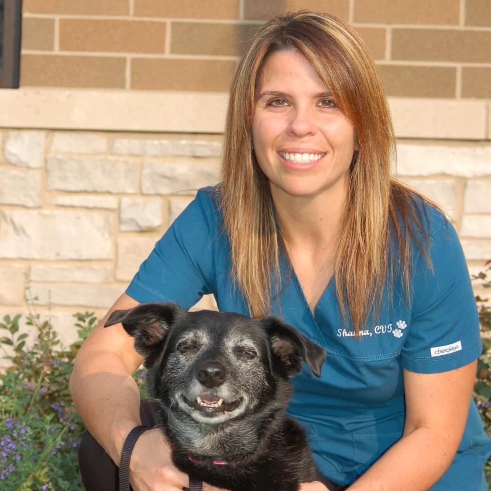 Staff at Cary Grove Animal Hospital Cary, IL Veterinarian