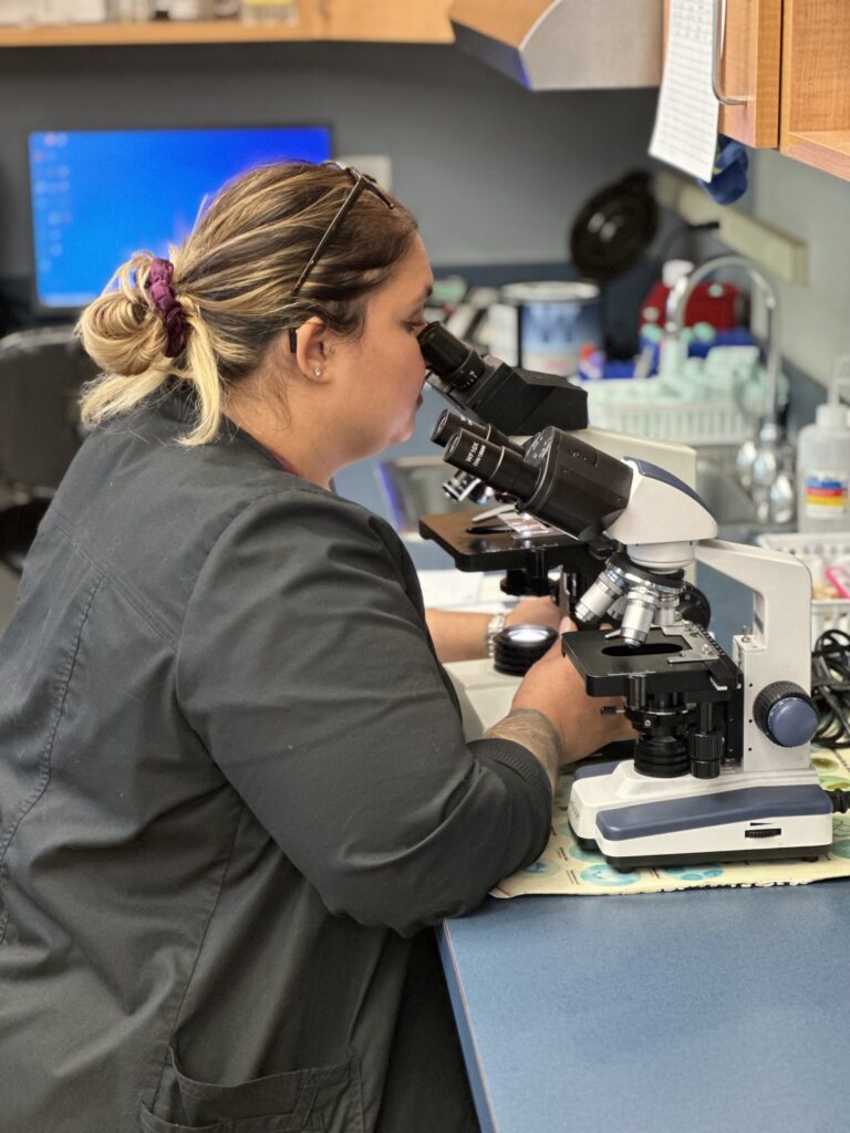 On-Site Vet Laboratory Cary IL